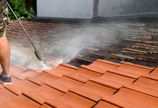 Best Pressure Washing Driveway  in Alva, FL
