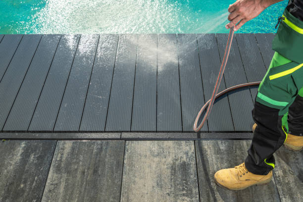Best Roof Pressure Washing  in Alva, FL