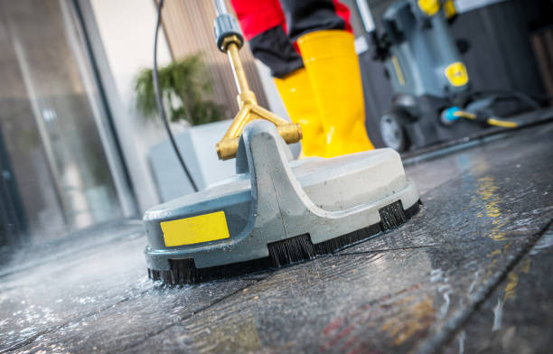 Best Roof Power Washing Services  in Alva, FL