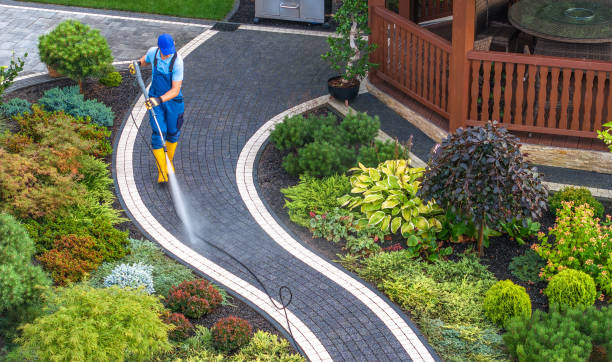 Best Roof Pressure Washing  in Alva, FL